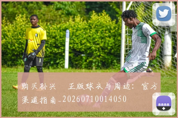 购买孙兴慜正版球衣与周边:官方渠道指南_20260710014050