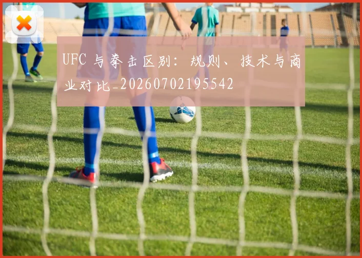 UFC 与拳击区别:规则、技术与商业对比_20260702195542