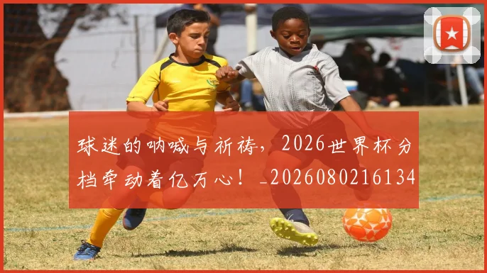 球迷的呐喊与祈祷,2026世界杯分档牵动着亿万心!_20260802161346